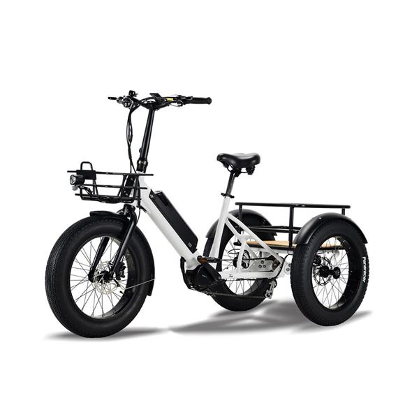Electric Cargo Trike for Home Small Cargo Transport 500W BAFANG Mid-Drive Motor, 48V Battery, Aluminum Frame | Trio