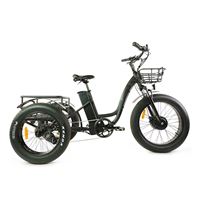 Electric Cargo Trike with Fat Tire 500W Brushless Motor, 48V Battery for Home Small Cargo Use | T4B trike
