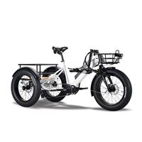 Electric Cargo Trike for Home Small Cargo Transport 500W BAFANG Mid-Drive Motor, 48V Battery, Aluminum Frame | Trio