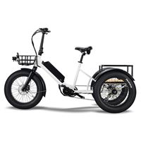 Electric Cargo Trike for Home Small Cargo Transport 500W BAFANG Mid-Drive Motor, 48V Battery, Aluminum Frame | Trio