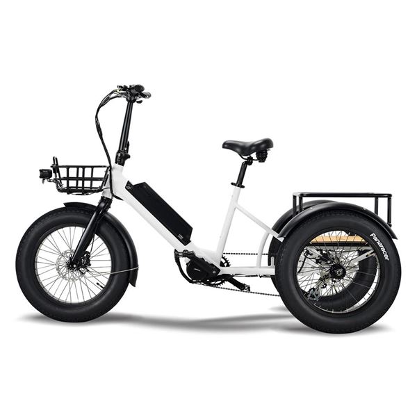 Electric Cargo Trike for Home Small Cargo Transport 500W BAFANG Mid-Drive Motor, 48V Battery, Aluminum Frame | Trio