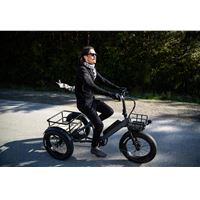 Electric Cargo Trike for Home Small Cargo Transport 500W BAFANG Mid-Drive Motor, 48V Battery, Aluminum Frame | Trio