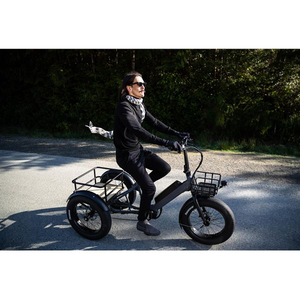 Electric Cargo Trike for Home Small Cargo Transport 500W BAFANG Mid-Drive Motor, 48V Battery, Aluminum Frame | Trio