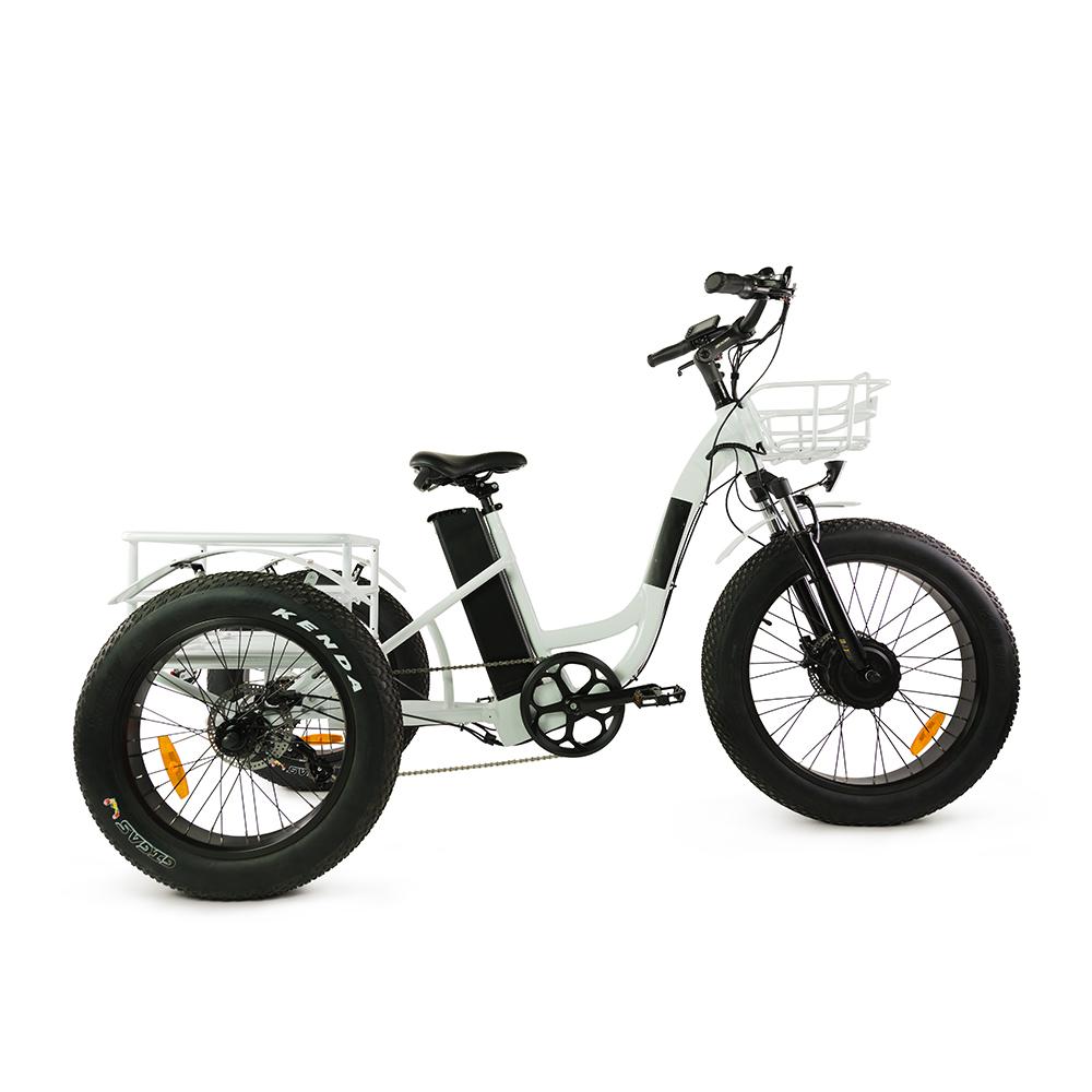 Electric Cargo Trike with Fat Tire 500W Brushless Motor, 48V Battery for Home Small Cargo Use | T4B trike