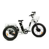 Electric Cargo Trike with Fat Tire 500W Brushless Motor, 48V Battery for Home Small Cargo Use | T4B trike