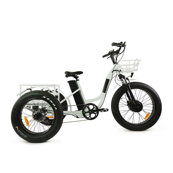Electric Cargo Trike with Fat Tire 500W Brushless Motor, 48V Battery for Home Small Cargo Use | T4B trike