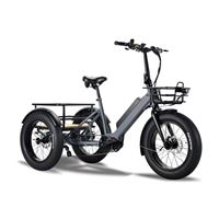Electric Cargo Trike for Home Small Cargo Transport 500W BAFANG Mid-Drive Motor, 48V Battery, Aluminum Frame | Trio