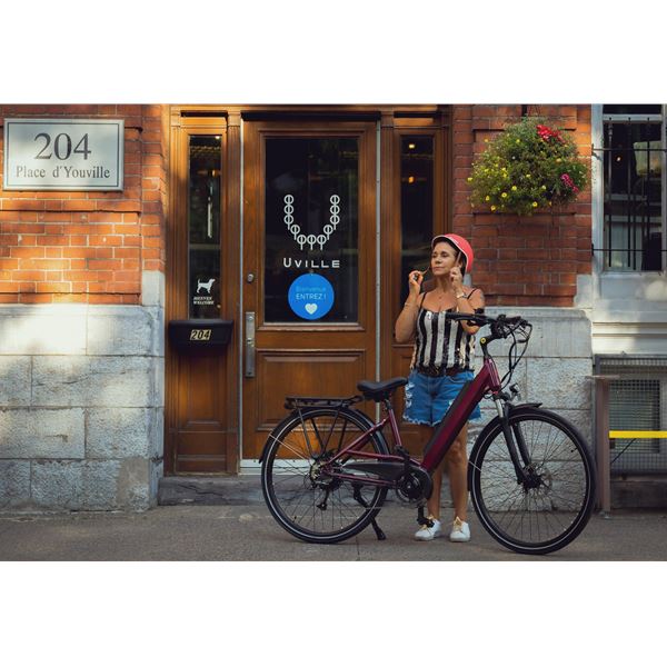 Stylish City Bike - Modern Design Multiple Colors Trendy Short-Distance Ride | City