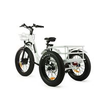 Electric Cargo Trike with Fat Tire 500W Brushless Motor, 48V Battery for Home Small Cargo Use | T4B trike