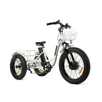 Electric Cargo Trike with Fat Tire 500W Brushless Motor, 48V Battery for Home Small Cargo Use | T4B trike