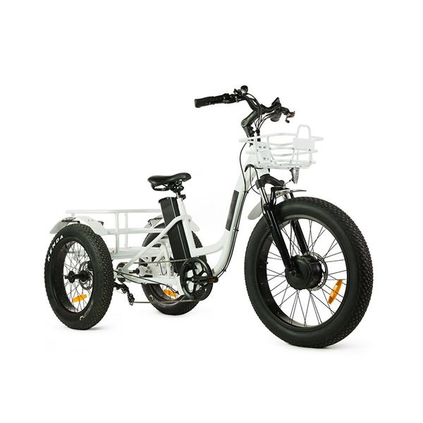 Electric Cargo Trike with Fat Tire 500W Brushless Motor, 48V Battery for Home Small Cargo Use | T4B trike