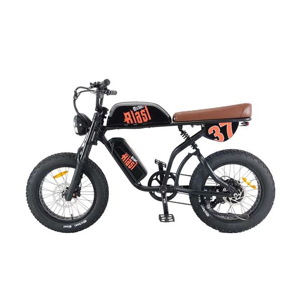 Michael Blast 2-Seater E-Bike with Dual Battery: Perfect for Food Delivery | ALL IN ONE