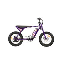 Michael Blast Ponyboy 500W 48V13Ah 2-Passenger Seat | Ponyboy