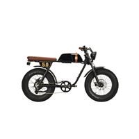 Michael Blast  750W  48V 20Ah Electric bike | Outsider 5.0