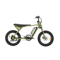 Michael Blast Ponyboy 500W 48V13Ah 2-Passenger Seat | Ponyboy