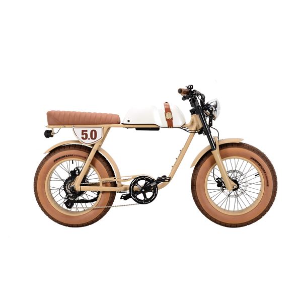 Michael Blast  750W  48V 20Ah Electric bike | Outsider 5.0