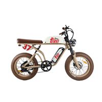 Michael Blast 2-Seater E-Bike with Dual Battery: Perfect for Food Delivery | ALL IN ONE