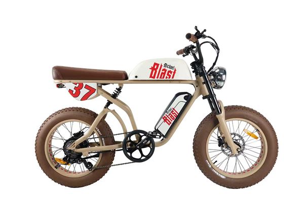 Michael Blast 2-Seater E-Bike with Dual Battery: Perfect for Food Delivery | ALL IN ONE