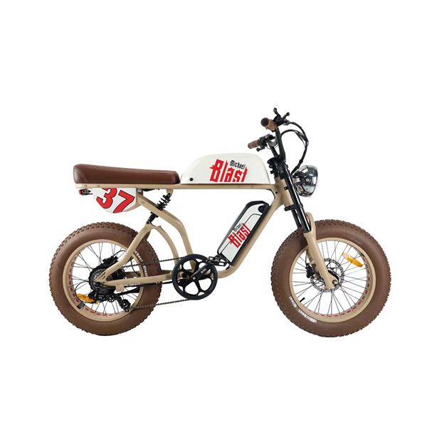 Michael Blast 2-Seater E-Bike with Dual Battery: Perfect for Food Delivery | ALL IN ONE